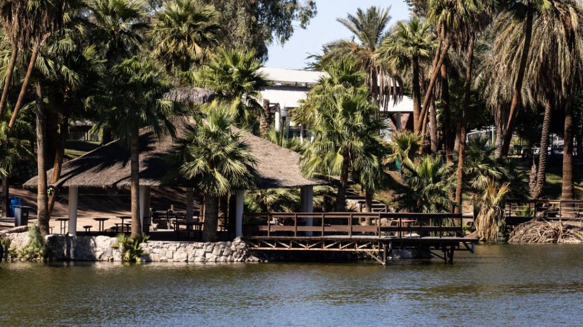 Palm trees and a rustic hut by a serene lake setting under a bright sky.