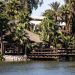 Palm trees and a rustic hut by a serene lake setting under a bright sky.